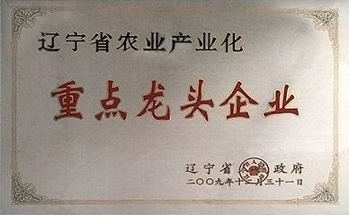 重點龍頭企業(yè).jpg